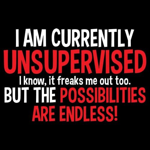 I'm Currently Unsupervised Novelty Graphic Sarcastic Humorous Mens Funny T Shirt