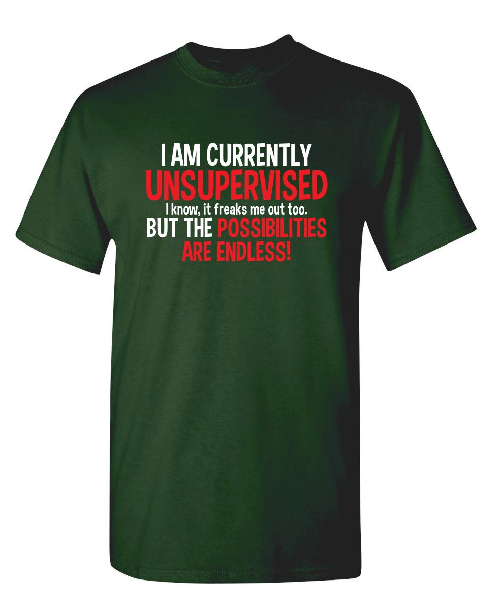I'm Currently Unsupervised Novelty Graphic Sarcastic Humorous Mens Funny T Shirt