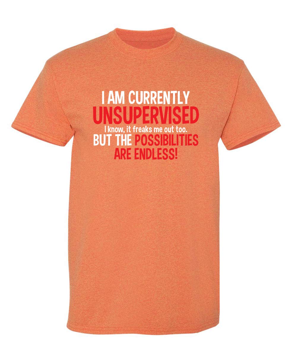 I'm Currently Unsupervised Novelty Graphic Sarcastic Humorous Mens Funny T Shirt